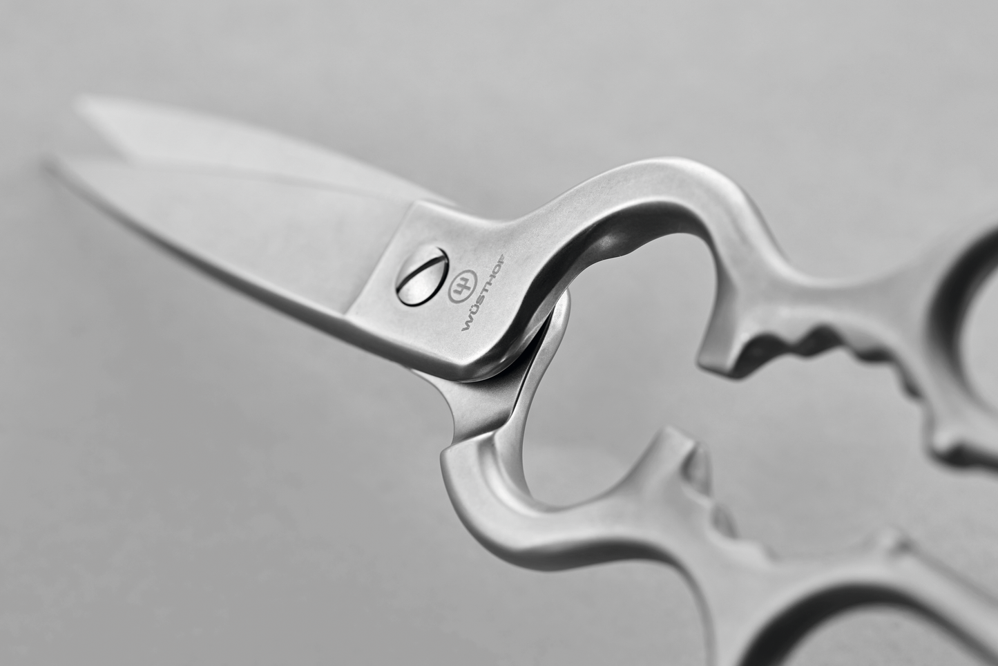 Stainless Kitchen Shears