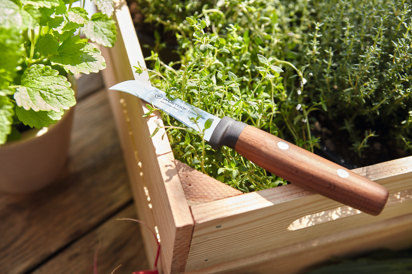 Urban Farmer Pruning Knife 8 cm | 3 inch