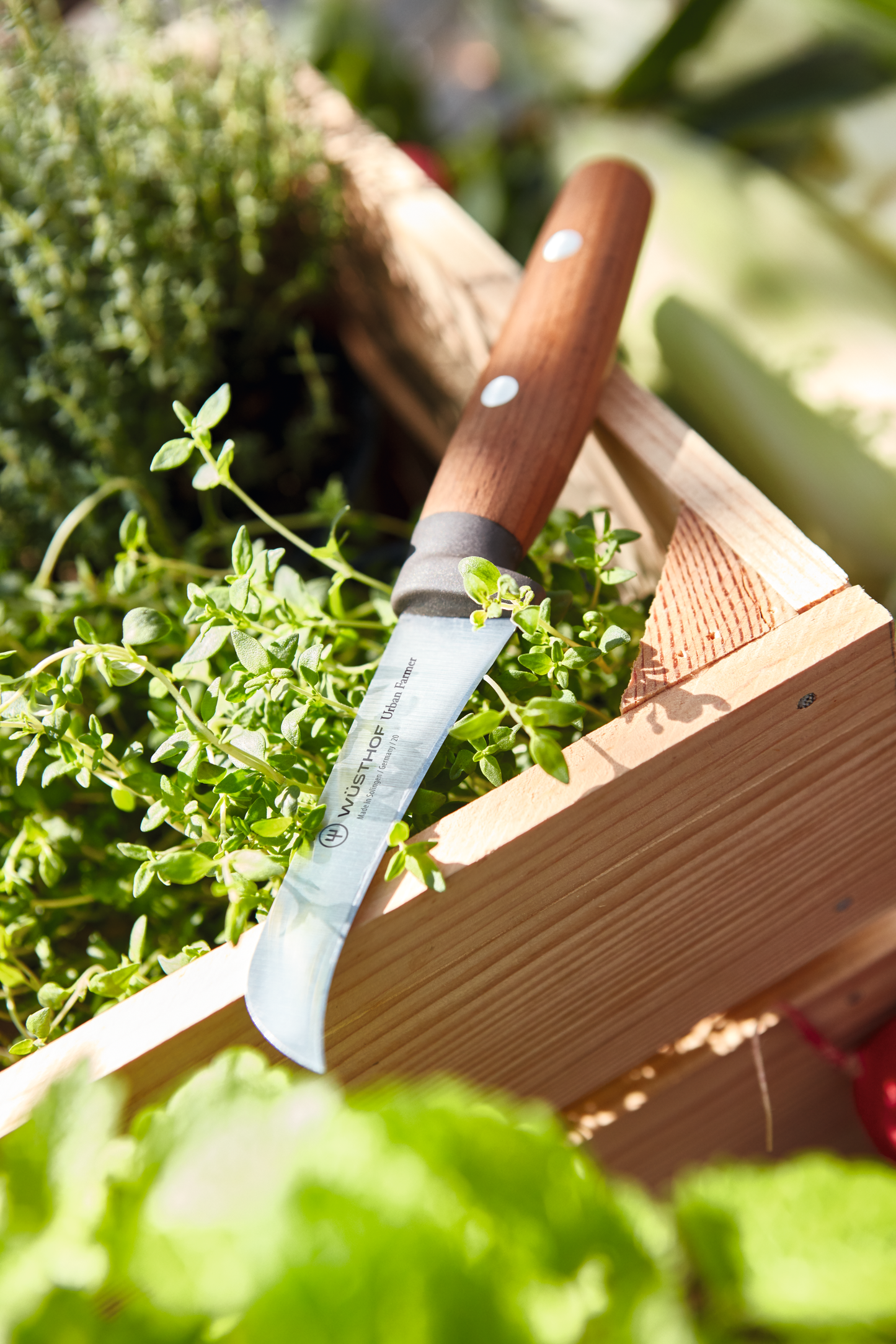 Urban Farmer Pruning Knife 8 cm | 3 inch